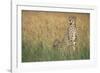 Cheetah with Cubs in Tall Grass-Paul Souders-Framed Photographic Print