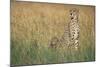 Cheetah with Cubs in Tall Grass-Paul Souders-Mounted Photographic Print