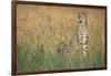 Cheetah with Cubs in Tall Grass-Paul Souders-Framed Photographic Print