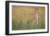 Cheetah with Cubs in Tall Grass-Paul Souders-Framed Photographic Print