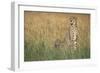 Cheetah with Cubs in Tall Grass-Paul Souders-Framed Photographic Print