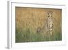 Cheetah with Cubs in Tall Grass-Paul Souders-Framed Photographic Print