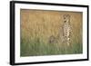 Cheetah with Cubs in Tall Grass-Paul Souders-Framed Photographic Print