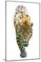 Cheetah-null-Mounted Photographic Print