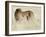 Cheetah-Eric Meyer-Framed Photographic Print