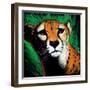 Cheetah-null-Framed Art Print