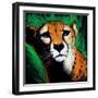 Cheetah-null-Framed Art Print