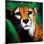 Cheetah-null-Mounted Art Print