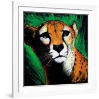 Cheetah-null-Framed Art Print