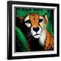 Cheetah-null-Framed Art Print