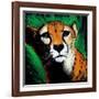 Cheetah-null-Framed Art Print