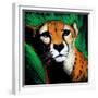 Cheetah-null-Framed Premium Giclee Print