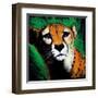 Cheetah-null-Framed Art Print