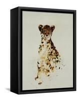 Cheetah-Sydney Edmunds-Framed Stretched Canvas