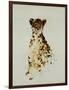 Cheetah-Sydney Edmunds-Framed Giclee Print