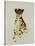 Cheetah-Sydney Edmunds-Stretched Canvas
