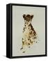 Cheetah-Sydney Edmunds-Framed Stretched Canvas
