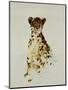 Cheetah-Sydney Edmunds-Mounted Giclee Print