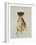 Cheetah-Sydney Edmunds-Framed Giclee Print