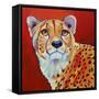 Cheetah-Corina St. Martin-Framed Stretched Canvas