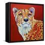 Cheetah-Corina St. Martin-Framed Stretched Canvas
