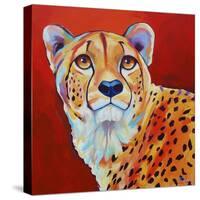 Cheetah-Corina St. Martin-Stretched Canvas