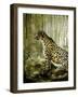 Cheetah-Cherie Roe Dirksen-Framed Giclee Print