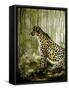 Cheetah-Cherie Roe Dirksen-Framed Stretched Canvas