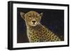 Cheetah-Durwood Coffey-Framed Premium Giclee Print