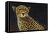 Cheetah-Durwood Coffey-Framed Stretched Canvas