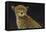 Cheetah-Durwood Coffey-Framed Stretched Canvas