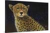 Cheetah-Durwood Coffey-Stretched Canvas