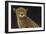 Cheetah-Durwood Coffey-Framed Giclee Print