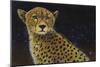 Cheetah-Durwood Coffey-Mounted Giclee Print