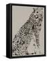 Cheetah-Stellar Design Studio-Framed Stretched Canvas