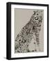 Cheetah-Stellar Design Studio-Framed Art Print