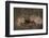 Cheetahs Eating Prey-DLILLC-Framed Photographic Print