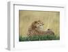 Cheetahs in Kenya-W. Perry Conway-Framed Photographic Print