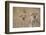 Cheetahs in Tall Grass-Paul Souders-Framed Photographic Print