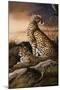 Cheetahs of Dusk-Trevor V. Swanson-Mounted Giclee Print