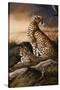 Cheetahs of Dusk-Trevor V. Swanson-Stretched Canvas