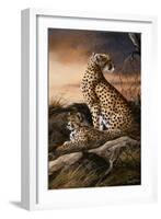 Cheetahs of Dusk-Trevor V. Swanson-Framed Giclee Print