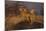 Cheetahs on Mound-DLILLC-Mounted Photographic Print