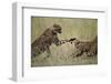 Cheetahs Playing on Savanna-Paul Souders-Framed Photographic Print