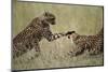 Cheetahs Playing on Savanna-Paul Souders-Mounted Photographic Print