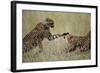 Cheetahs Playing on Savanna-Paul Souders-Framed Photographic Print