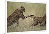 Cheetahs Playing on Savanna-Paul Souders-Framed Photographic Print