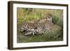 Cheetahs, Serengeti National Park, Tanzania-Art Wolfe-Framed Photographic Print