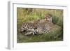 Cheetahs, Serengeti National Park, Tanzania-Art Wolfe-Framed Photographic Print