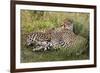 Cheetahs, Serengeti National Park, Tanzania-Art Wolfe-Framed Photographic Print